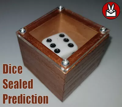 Sealed Dice Prediction Puzzle Box Gambler Spirit Magic Trick Seal In Die Predict • £14.99