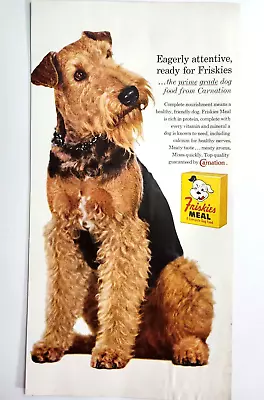 Welsh Terrier Friskies Dog Food Vtg 1958 Ad Magazine Print Carnation 1/2 Page • $7.73