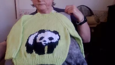 New Hand Knitted Green Jumper Age 2-3 With Panda Motiff • £7