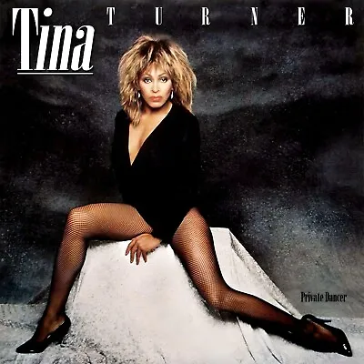 TINA TURNER Private Dancer BANNER 2x2 Ft Fabric Poster Tapestry Flag Album Cover • $19.95