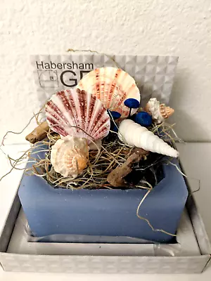 NEW Habersham Wax Sculpture Geo Beach Comber Buy 2 Same Shipping As Shipping 1 • $29.50