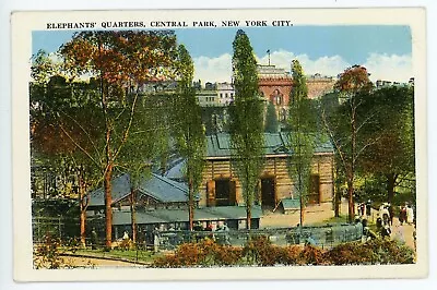 Vintage Postcard Central Park Elephants' Quarters New York City Unposted Divided • $4.87