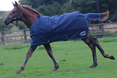 Masta Zing Mediumweight Foal Turnout Rug 170g • £41.99