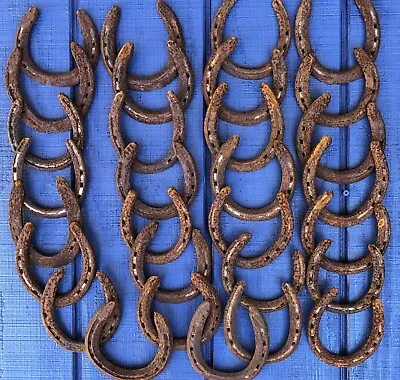 Lot Of 30 Rusty Steel Horseshoes Old Worn Horseshoes - No Nails No Clips • $59.99