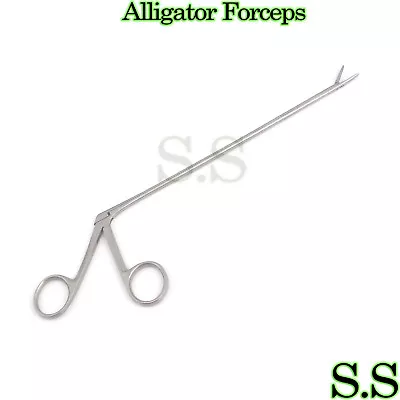 Alligator Forceps 8  Surgical Veterinary Instruments • $9.90