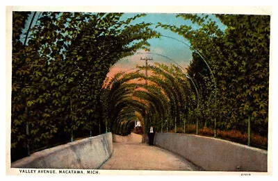 Postcard ROAD SCENE Macatawa Michigan MI AU9512 • $6.66