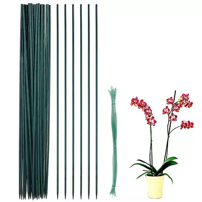 Plant Support Stakes 30Pcs Bamboo Floral Support Pole Green Garden Bamboo ✽ • £7.75