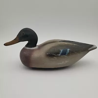 Vintage 1960s Ring Neck Mallard Duck Hunting Decoy Victor Animal Trap Company • $22.55