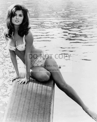 $3 • Buy 8x10 Publicity Photo Pamela Tiffin In The 1966 Film Harper Pin Up