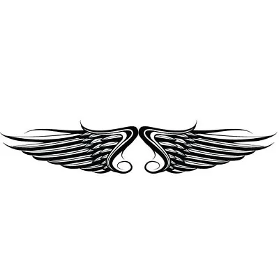 Angel Wings Car Decal Sticker • $3.15