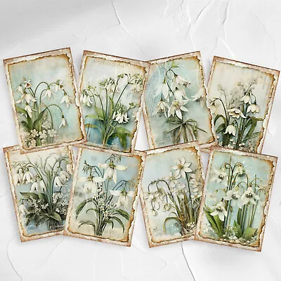 Floral Spring Snowdrop Flowers Card Toppers Cardmaking Scrapbooking Tags Craft • £2.80