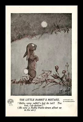 Us Postcard Little Rabbit's Mistake Destroit Publishing 14175 Series Unposted • $0.84