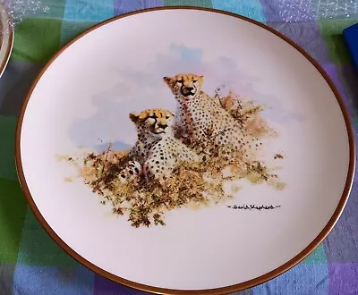 Wedgwood David Shepherd Cheetah Plate 27cm • £10