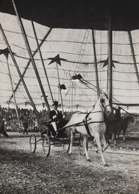 $220.85 • Buy 1940s Vintage 16x20 CIRCUS CARNIVAL Horse Ringmaster Ringling Bros. Photo Art