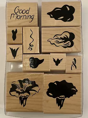 Morning Glory Set Of 11 Two-step CTMH Stamps Flowers Leaves Vines Bud 4 O'clocks • $17