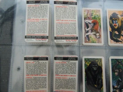£2.53 • Buy One Complete Set Brooke Bond Canada Tea Cards African Animals