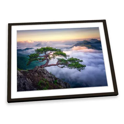 On The Rock Mountain Bonsai Tree Cloudy FRAMED ART PRINT Picture Artwork • $53.45