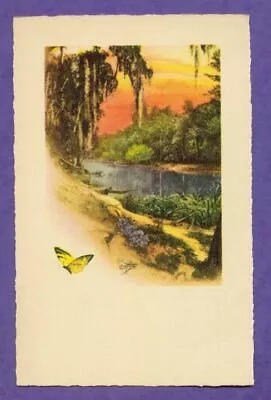 E G Barnhill FL NOS River Bank Water Swamp Color Art Print Card Landscape Saxony • $0.99