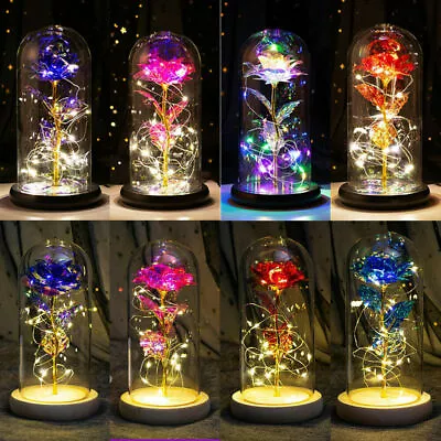 Rose In Glass Dome Eternal Forever Flower LED Girls Valentine's Wedding Gifts AU • $23.59