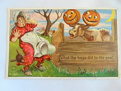 Vintage 1911 Halloween Postcard - Milk Cow With 2 Jack O Lanterns On Her Head • $12.99