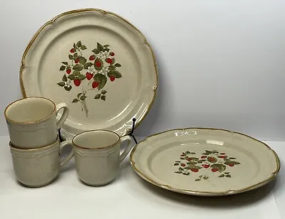 1970's Endure Collection LA FRAISE Strawberry Dinner Plates Mugs Stoneware • $12