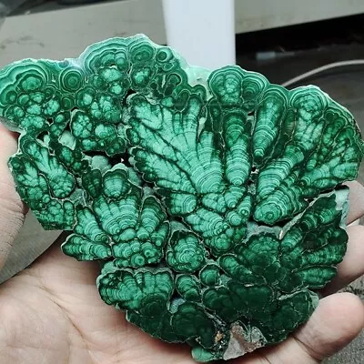 273g Natural Malachite Slices Quartz Crystal Mineral Specimens Reiki Healing • $6.49