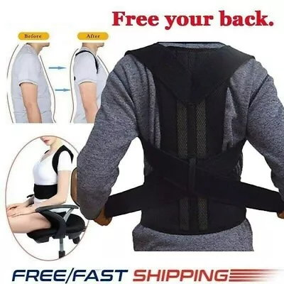 Waist Support Belt Lumbar Back Brace Heavy Work Pain Relief For Men Women Corset • $18.98