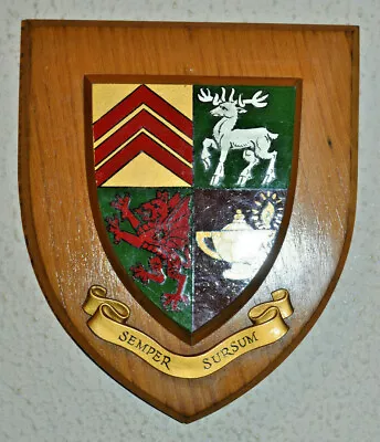 Cardiff Canton High School Wall Plaque Shield Crest Coat Of Arms • £40