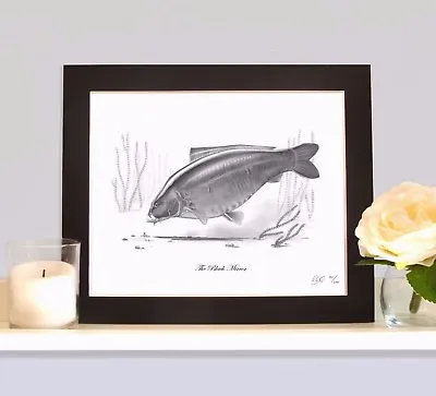 THE BLACK MIRROR Classic Legendary Carp Fishing Drawing Print Picture MOUNTED  • £12.99