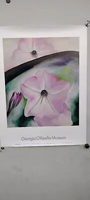 Georgia O'Keeffee Petunia No 2 From The Plains Official Museum Poster 18 X 24 • $20