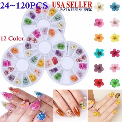 12 Colors Real Dried Flowers 3D Nail Art Decors Design DIY Tips Manicure Box Set • $12.99