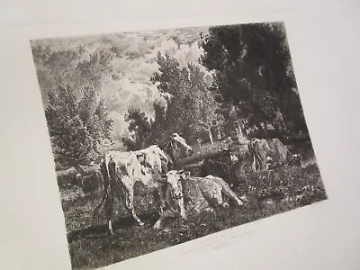 Peter C Moran Antique Etching - Landscape And Catlle After Van Marcke Cows Scene • $95