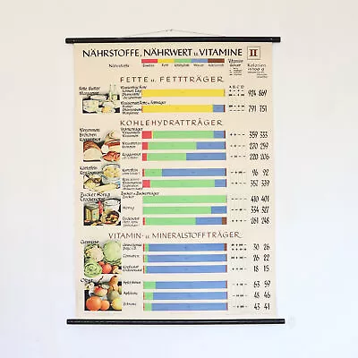 Original Vintage German Educational Wall Chart Of Nutrition • £85