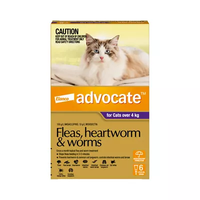 Advocate Cat Large 4kg Purple - 6pk • $110