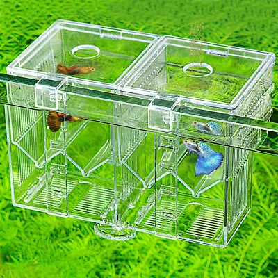 Clear Acrylic Fish Tank W/ Detachable Divided Compartments Beta Fish Tank Bowl  • £10.44