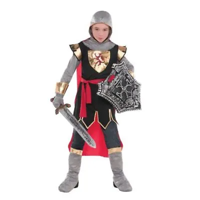 Kids Boys Brave Crusader Medieval Knight Fancy Dress Carnival Book Week Costume • £19.17