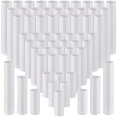 100 Pcs Easter Day Craft Cardboard Tubes For Crafts 3 Sizes Sturdy Cardboard ... • $30.31