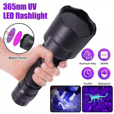 C8 UV 365nm 5W LED Flashlight With Filter + Extension Tube For Detection • $19.99