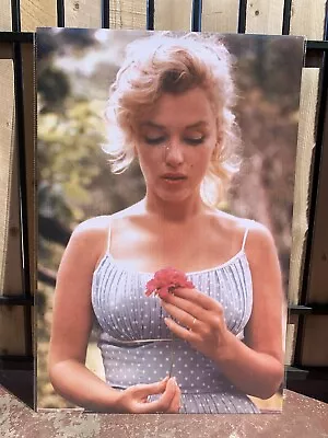 Marilyn Monroe With Flower Poster 24  X 36  - New • $9.99