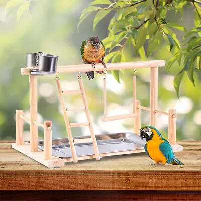 Parrot Playstand Bird Play Stand Cockatiel Playground Wood Perch Gym Toys • $26.99