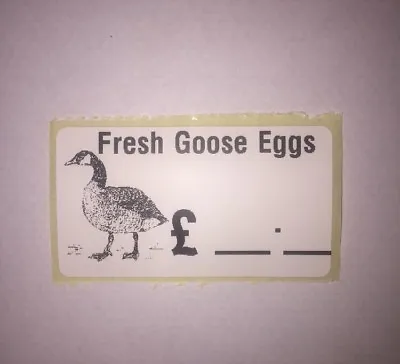 100 X Fresh Goose Eggs Box Stickers Labels  • £2.49