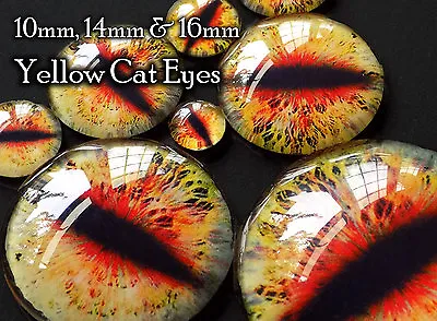 Taxidermy Glass Fantasy Dragon Monster Craft Eyes Yellow 10mm 14mm 16mm • $1.89