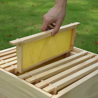 10pc Assembled National Beehive Box Super & Brood Bee Hive Frames And Foundation • £35.95