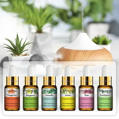 $2.79 • Buy 5 ML Essential Oil   - Pure And Natural -Aromatherapy Undiluted Therapeutic Oil