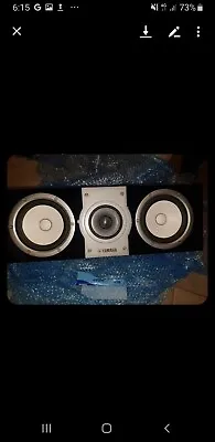 Yamaha Soavo NS-C901 Center Speaker • $2000