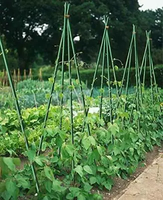 $40.55 • Buy 1/5  Rod 4FT Fiberglass Garden Plant Stakes For Tomato Support Dark Green 50PCS