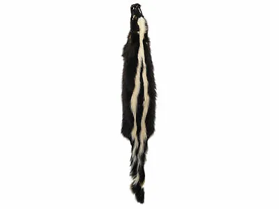 $115.22 • Buy Skunk Skin Pelt Hide (54-TP-G2112) AZ