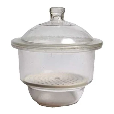 $101.72 • Buy Scientific Supplies DSGL150 Glass Desiccator 150 Mm Vacuum Desiccators