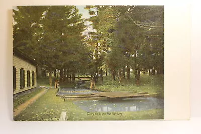 Postcard At The Fish Hatchery Corry PA W17 • $1.95