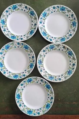 Five Midwinter Spanish Garden Side Plates Retro Vintage • £12